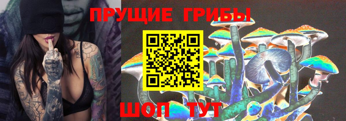 Заводоуковск  Галлюциногенные грибы мухоморы  Вход с VPN 